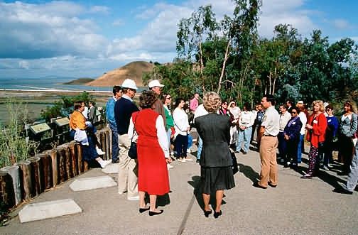 Tour at San Francisco Picture