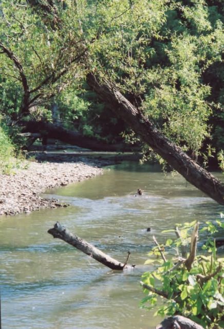 WOE180 Clinch River Scenic Picture