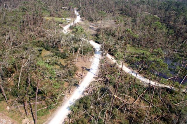 WOE177 Big Branch Marsh NWR before/after Hurricane Katrina Picture