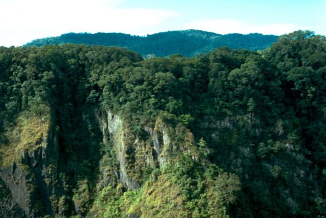Lamington National Park Picture