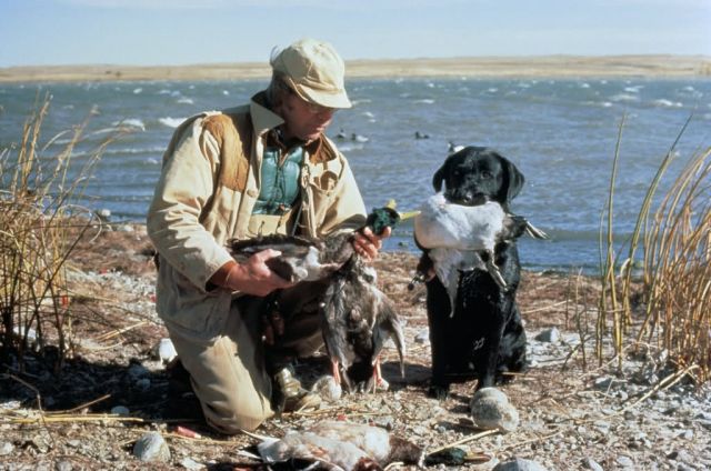 Waterfowl Hunting Picture
