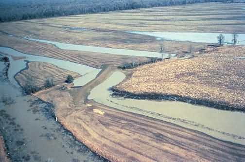 WO4292 Wetland Management Picture