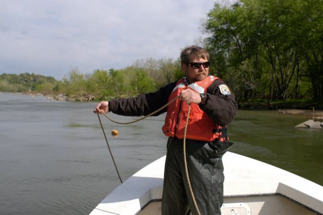 WOE105 FWS employee prepare to net atlantic sturgeon fry and/or eggs Picture