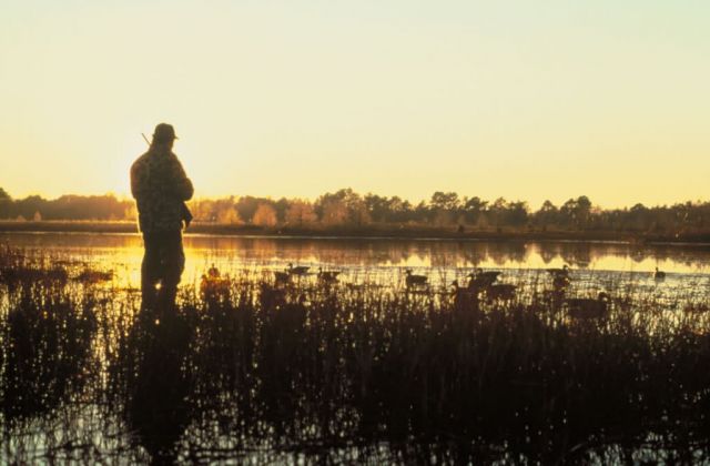 Beauty of the Hunt Picture