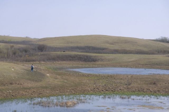 WO5772 Prairie Pothole, N.A. Waterfowl Survey Picture