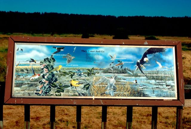 Interpretive Sign Picture