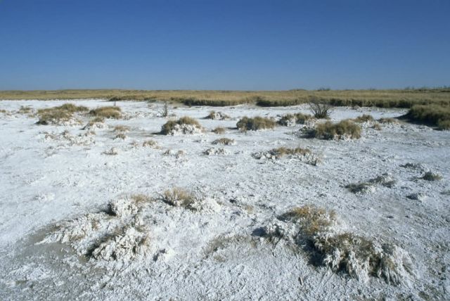 WO115 Muleshoe National Wildlife Refuge Picture