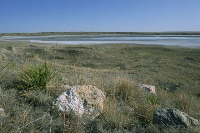 WO110 Muleshoe National Wildlife Refuge Picture