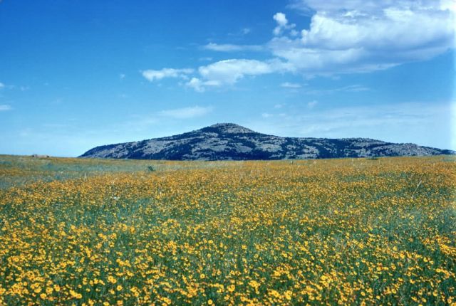 WO2020 Wichita Mountains NWR Picture