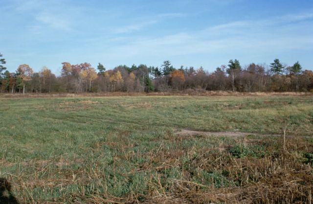 WO8724 Great Meadows NWR Picture