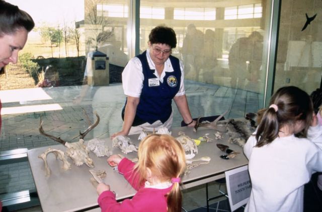 Touch Wildlife at Patuxent Wildlife Visitor Center Picture