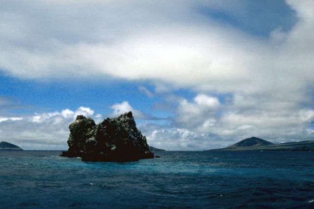 Reef Picture