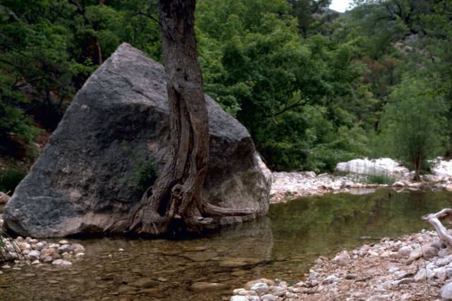 McKittrick Canyon Picture