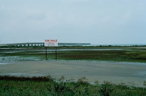 Commercial Development Coastal Wetlands Picture