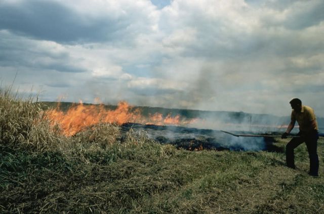 WO3389 Control Burn Picture