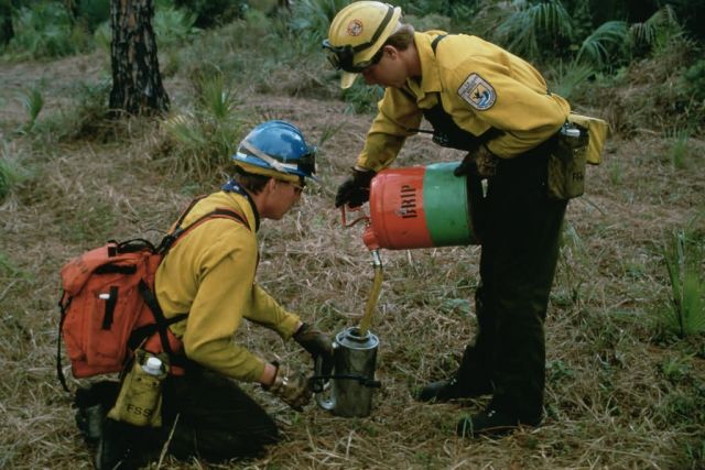 Prescribed Burn Crew Filling Torches Picture