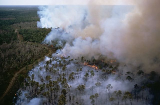 WO4942 Control Burn Picture