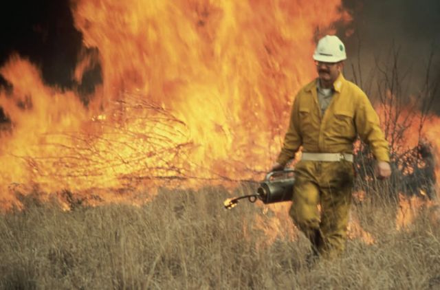 WO3557 Control Burn Picture