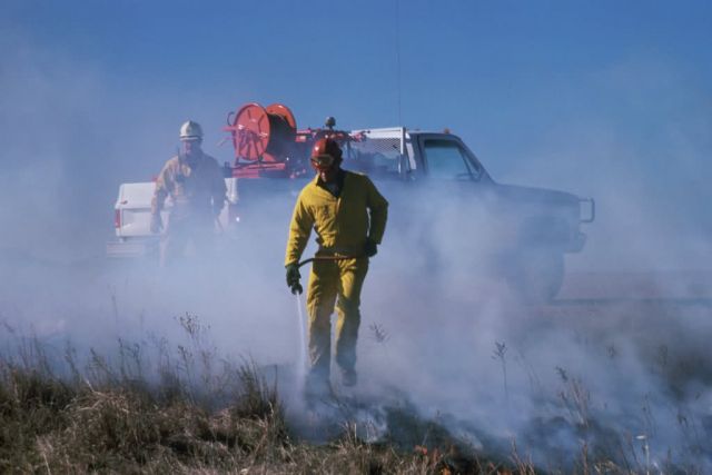 WO3991 Control Burn Picture