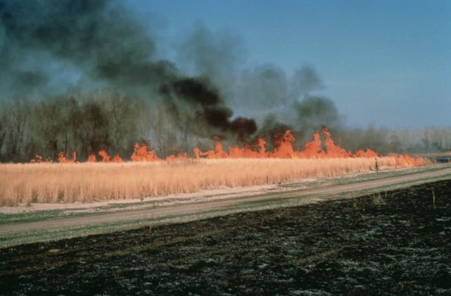 WO2827 Control Burn Picture