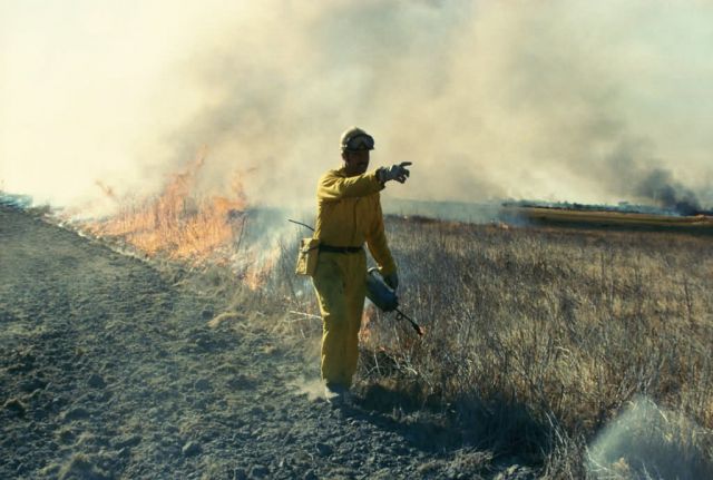 WO3925 Prescribed Burn Picture