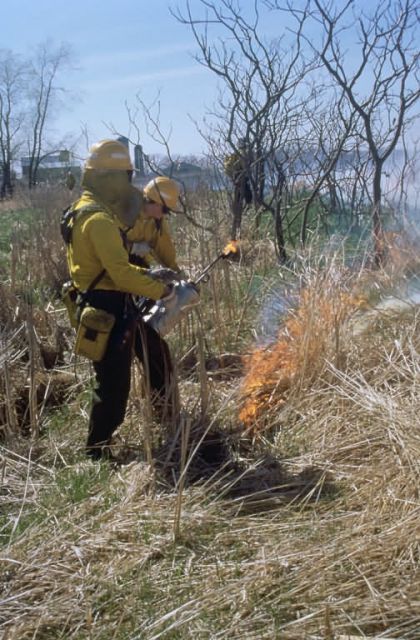 WO512 Prescribed Burn Picture