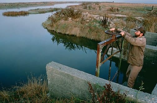 WO4969 Wetland Management Picture