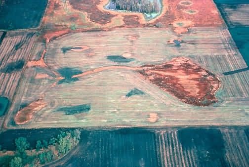 WO5004 A-B Wetland Restoration, Before and After Picture