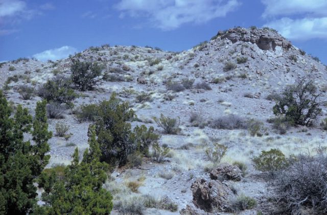 Bosque del Apache National Wildlife Refuge Picture