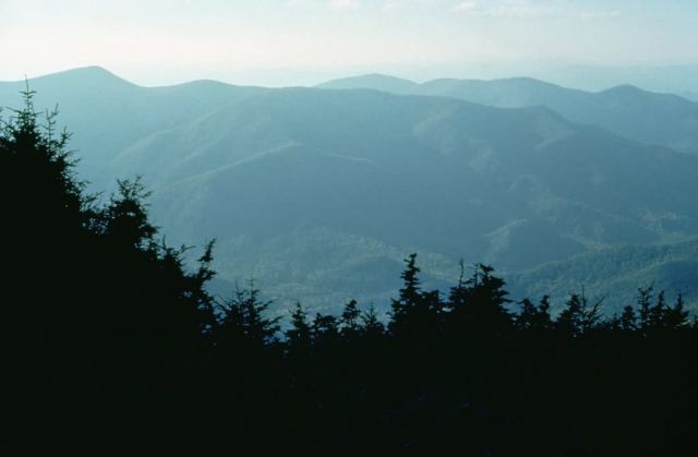 WO8356 Black Mountains in North Carolina Picture