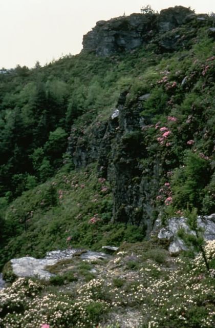 WO8357 Cliff and Rocks Outcrop in North Carolina Picture