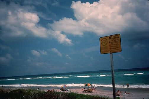 Beach at Hobe Sound National Willdlife Refuge Picture