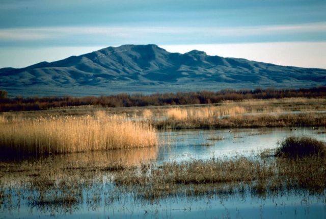 Bosque Del Apache National Wildlife Refuge Picture