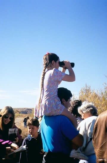 Wildlife Observation Picture