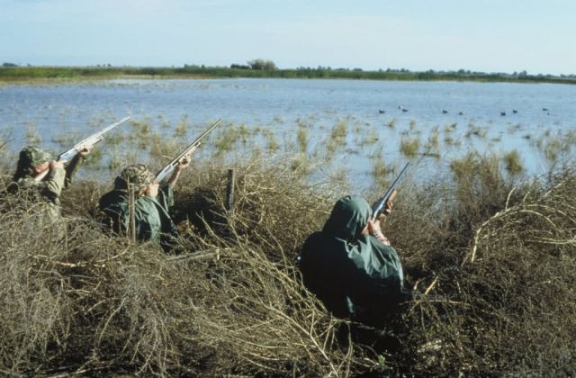 Waterfowl Hunting Picture