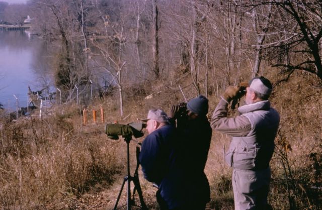 Birdwatching at Occoquan Bay National Wildlife Refuge Picture