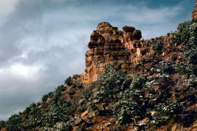 Grand Canyon Picture