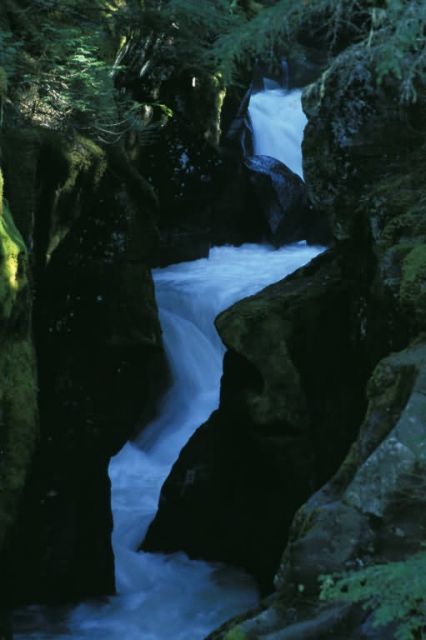 Avalanche Creek Picture