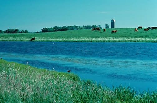 WO4599 Wetland Upper Midwest Picture