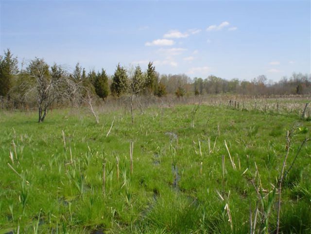 WOE224 Landowner Incentive Program Picture