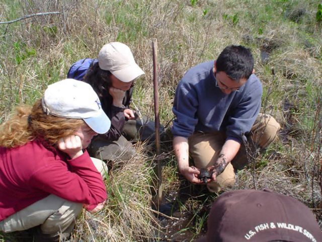 WOE228 Landowner Incentive Program Picture