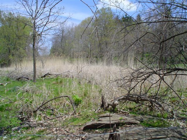 WOE229 Landowner Incentive Program Picture