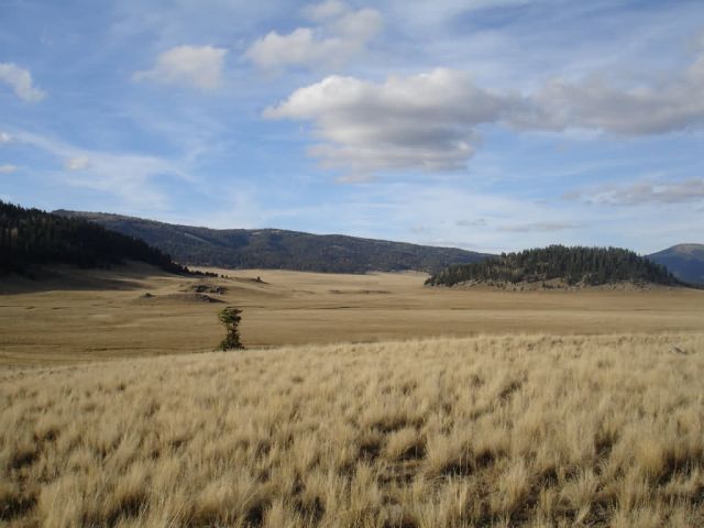 Landscape View of Valles Caldera Picture