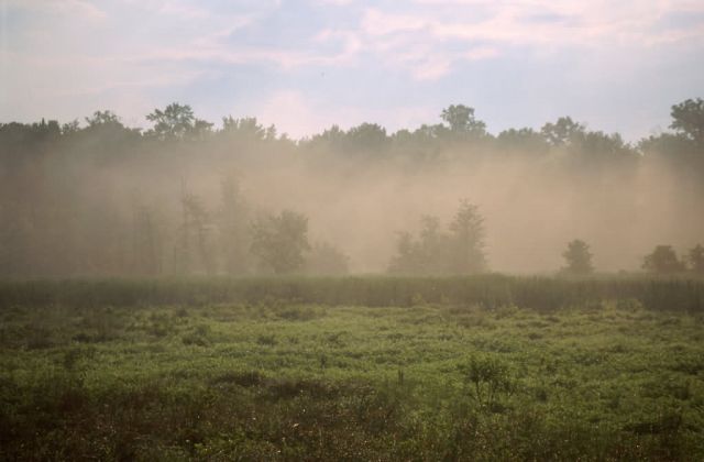 Huntley Meadows Picture