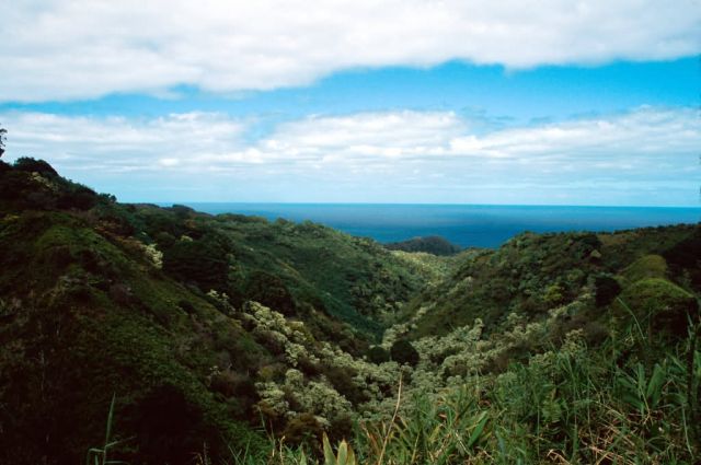 Maui, Hawaii Picture