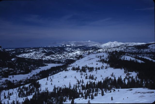 Lake Tahoe Picture