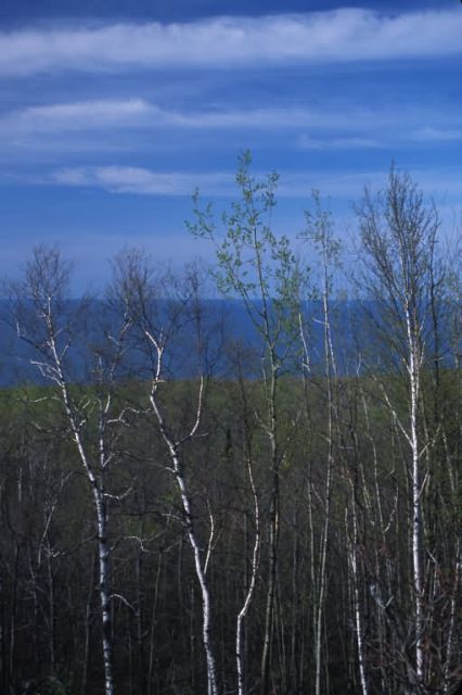 Lake Superior Picture