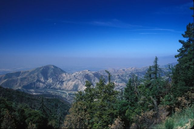 San Bernadino National Forest Picture