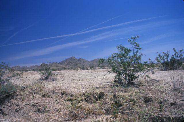 Mojave Desert Picture
