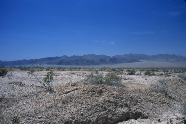 Mojave Desert Picture